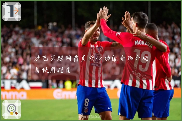 沙巴买球网首页核心功能全面介绍与使用指南