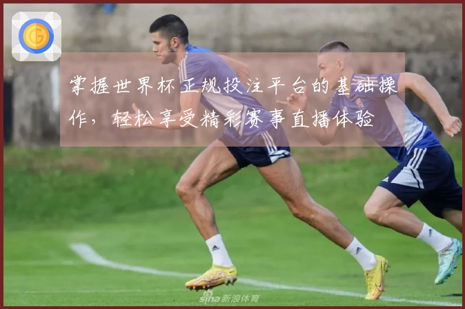 掌握世界杯正规投注平台的基础操作,轻松享受精彩赛事直播体验