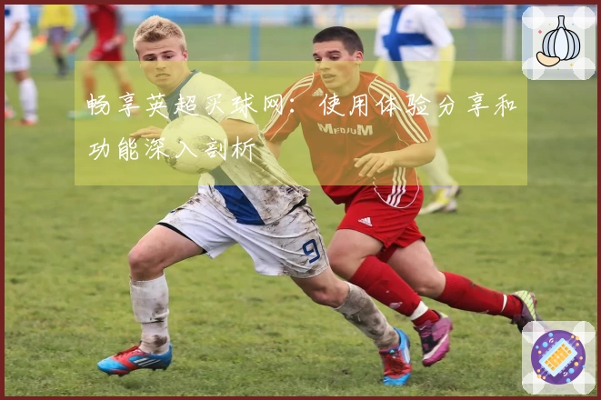畅享英超买球网：使用体验分享和功能深入剖析
